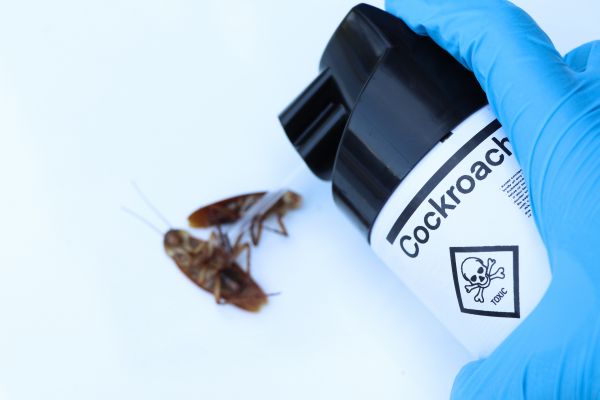Cockroach Control Service in Acworth