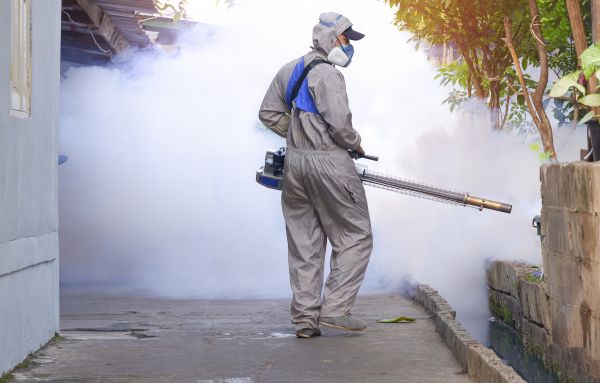 Mosquito Control Service in Acworth