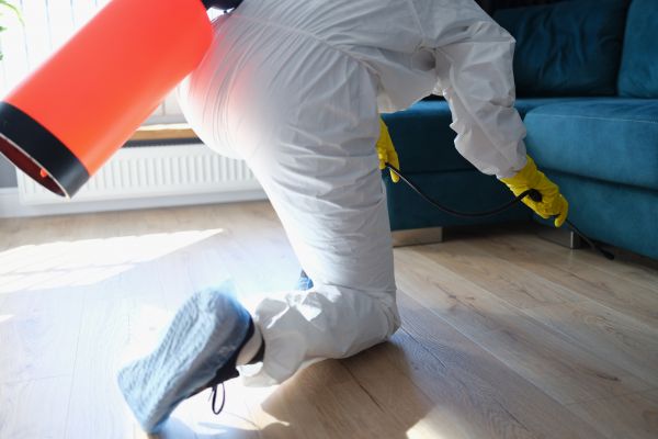 Insect Control Service in Acworth