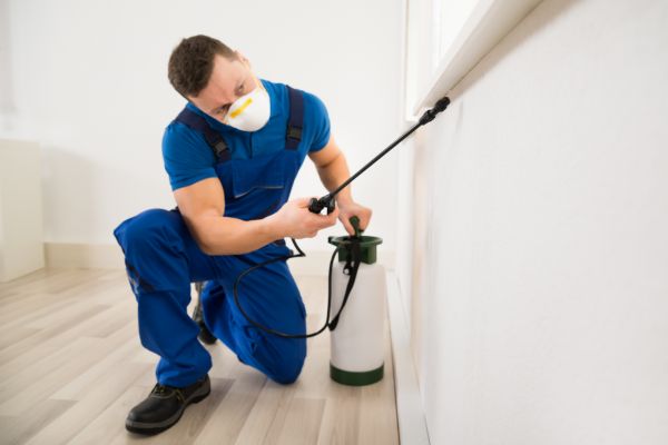 Pest Extermination Service in Acworth