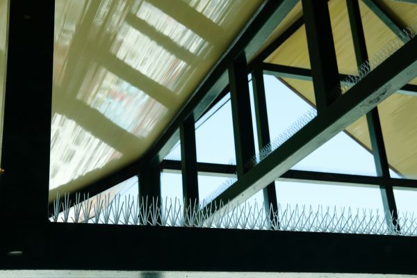 Seagull Spike Installation in Acworth