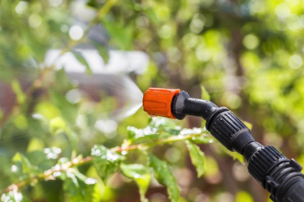 Lawn Insect Spraying in Acworth