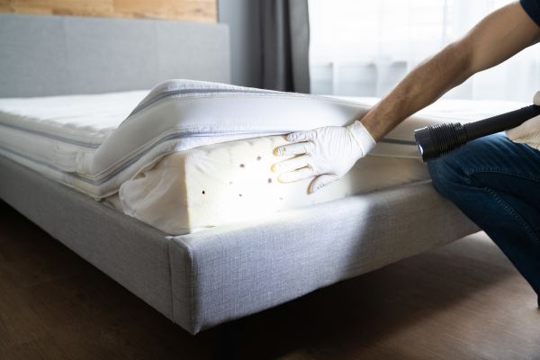 Bed Bugs Service in Acworth